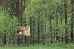Высокая пожароопасность лесов и торфяников прогнозируется в Нижегородской области с 18 по 23 августа